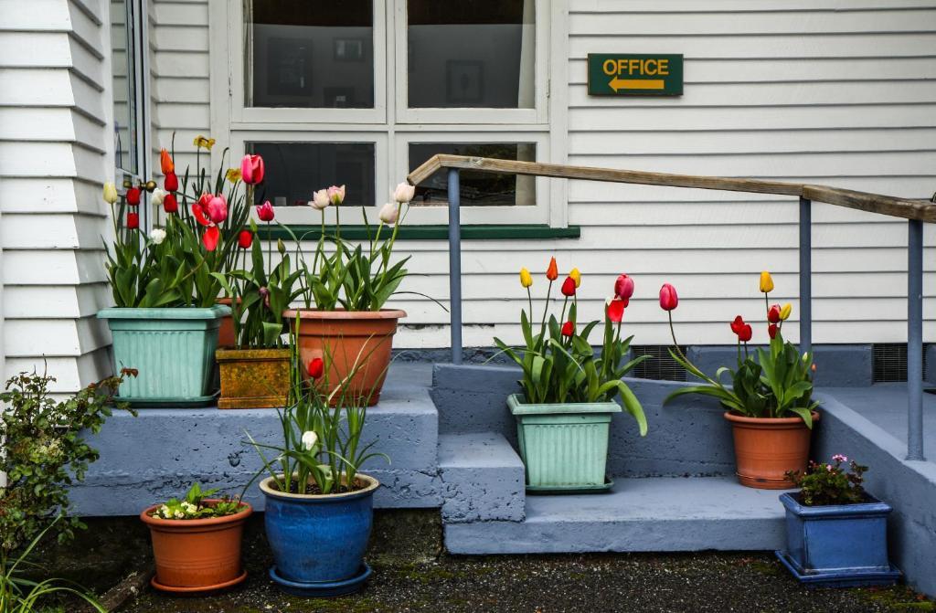 Rainforest Motel Fox Glacier Eksteriør billede